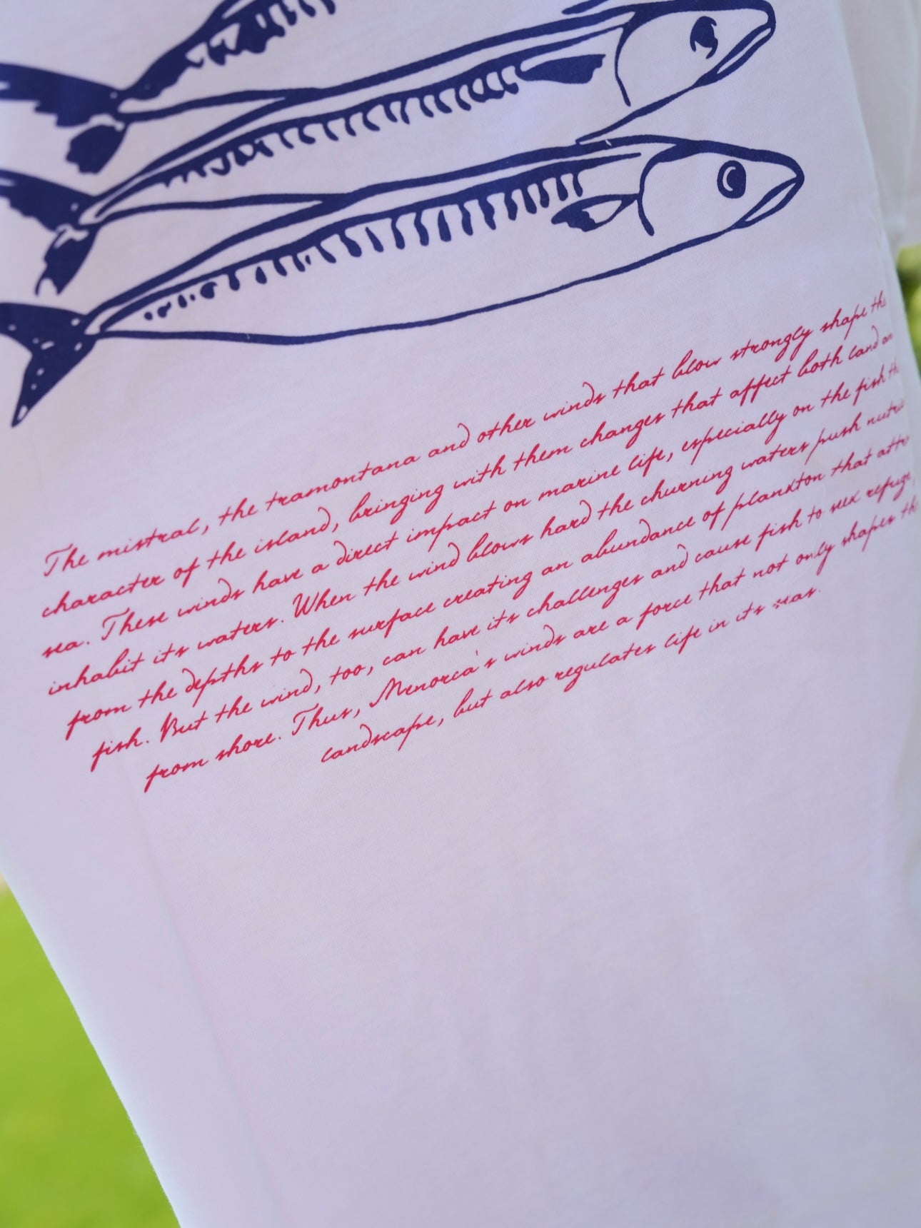 CAMISETA WINDY