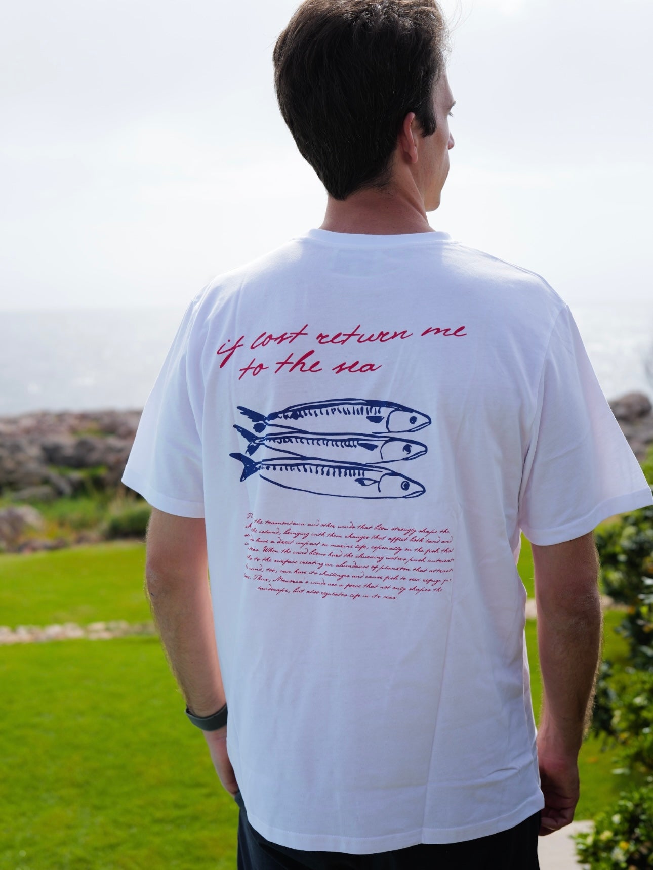 CAMISETA WINDY