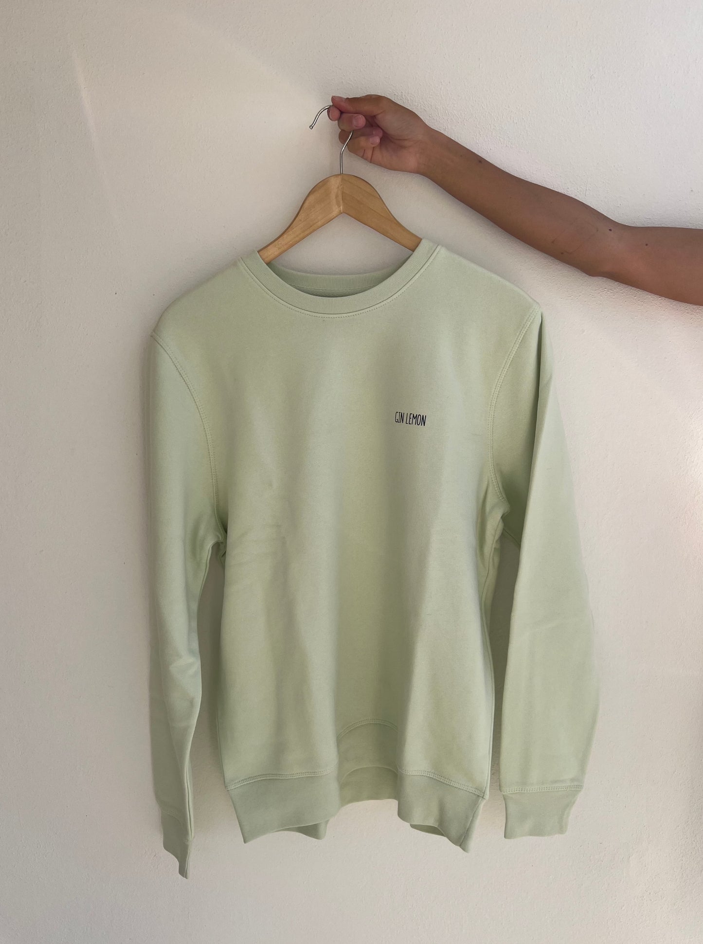 SUDADERA OVERSIZE MINT SUNSET